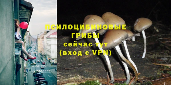 прущий лед Магадан