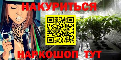 сатива Бузулук