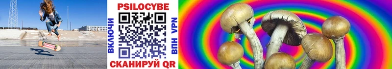 цены   MEGA сайт  Псилоцибиновые грибы Magic Shrooms  Егорьевск 