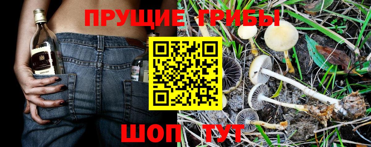 Галлюциногенные грибы прущие грибы Егорьевск